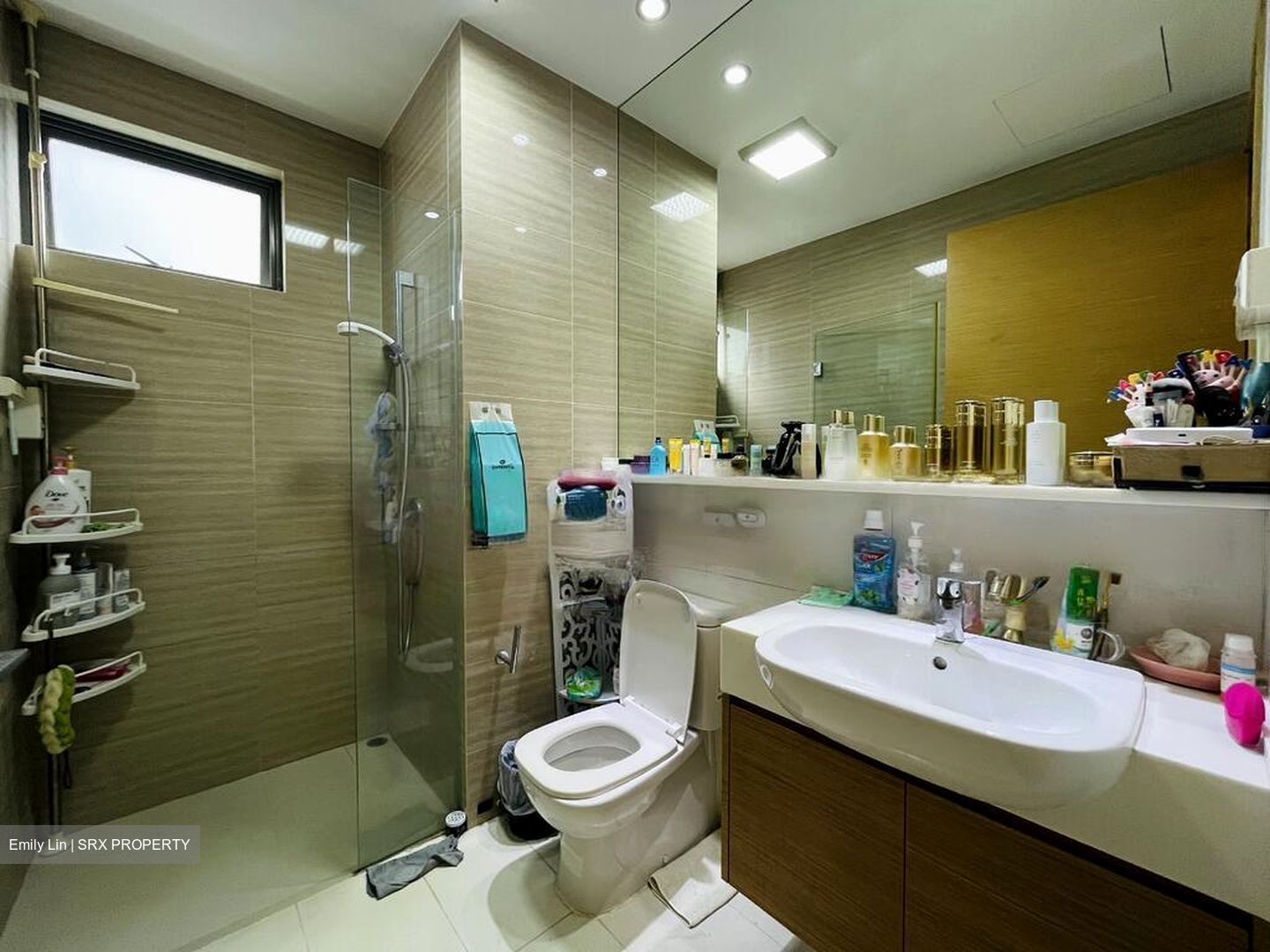 The Skywoods (D23), Condominium #481256271